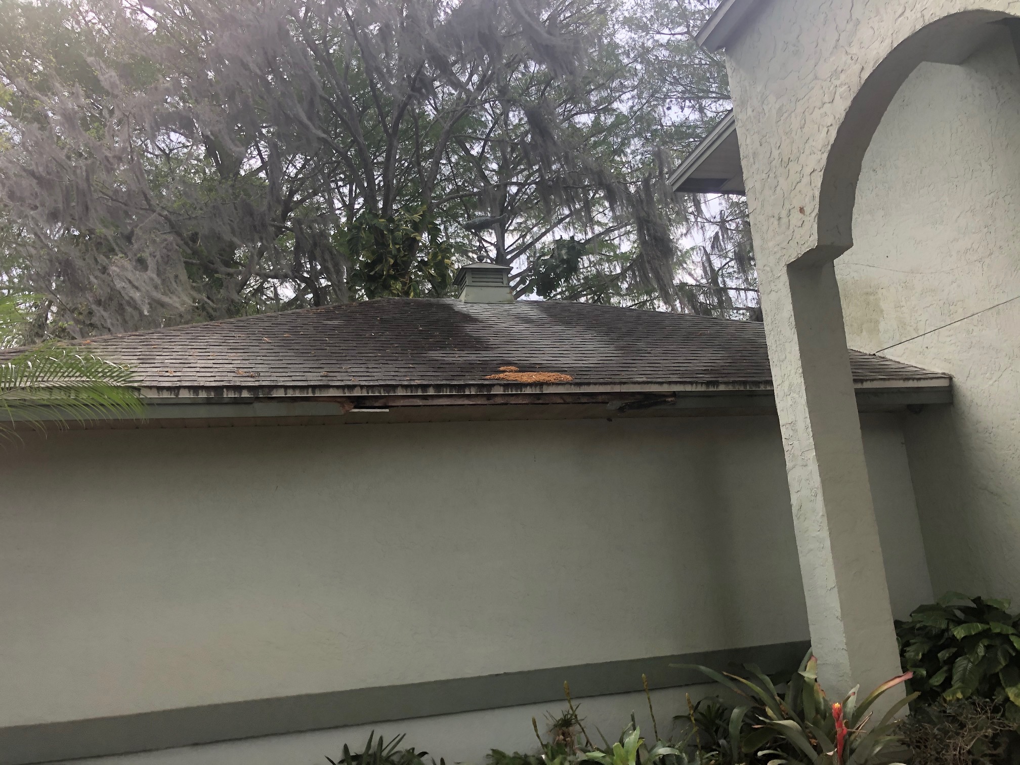 Custom Color Metal Roof - Lake Orlando