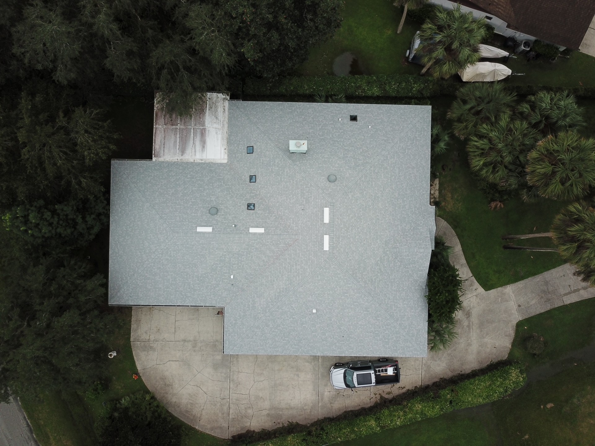 Silver Birch w/ Skylights